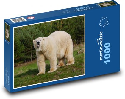 Eisbär in der Natur - Puzzle - 1000 Teile