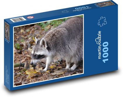 Mýval hledajcí potravu - puzzle 1000 dílků