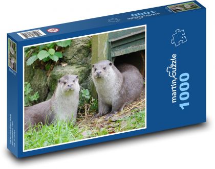Eurasischer Fischotter - Puzzle - 1000 Teile