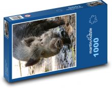 Divoký kanec v blátě Puzzle 1000 dílků - 60 x 46 cm