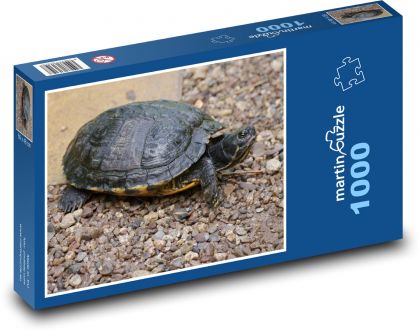 Reptile - turtle - Puzzle 1000 pieces, size 60x46 cm 