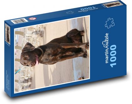 Labrador - šteniatko - Puzzle 1000 dielikov, rozmer 60x46 cm