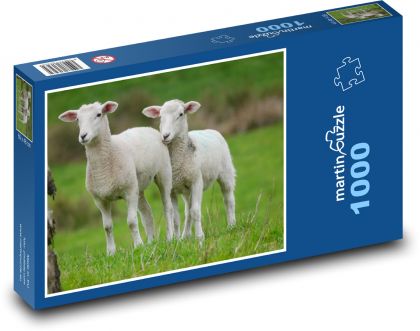 Jahňatá na pastvinách - Puzzle 1000 dielikov, rozmer 60x46 cm