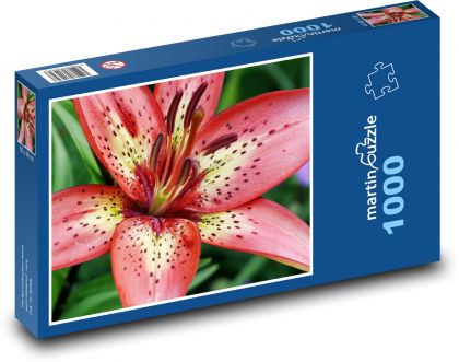 Červená lilie - květ, rostlina - puzzle 1000 dílků