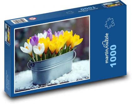 Crocuses - spring flowers, winter - Puzzle 1000 pieces, size 60x46 cm 