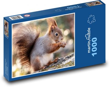Squirrel - animal, rodent - Puzzle 1000 pieces, size 60x46 cm 