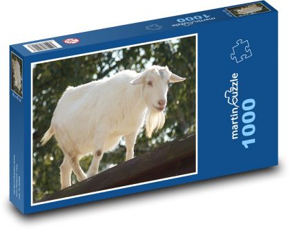 Bílá koza - domácí zvíře, farma - puzzle 1000 dílků