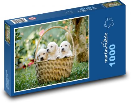 Szczenięta w koszyku - Puzzle 1000 elementów, rozmiar 60x46 cm