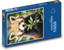 Red panda at lunch Puzzle 1000 pieces - 60 x 46 cm 