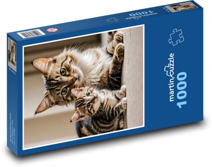 Kot z kotkiem - Puzzle 1000 elementów, rozmiar 60x46 cm