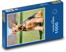 Pes - Airedale teriér Puzzle 1000 dílků - 60 x 46 cm