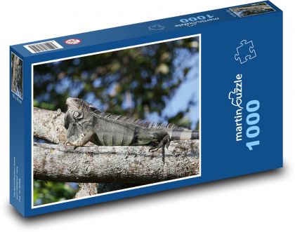 Lizard - Puzzle 1000 pieces, size 60x46 cm 