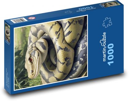 Tvar - Puzzle 1000 dielikov, rozmer 60x46 cm