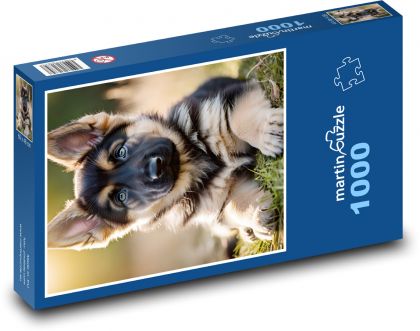 Šteniatko. - Puzzle 1000 dielikov, rozmer 60x46 cm