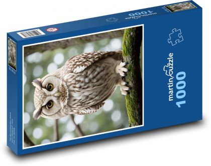 Eule - Puzzle - 1000 Teile