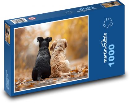 Psi sedící na cestě - puzzle 1000 dílků