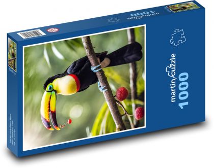Tukan - Puzzle 1000 dílků, rozměr 60x46 cm