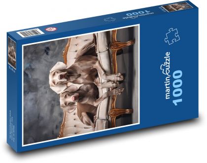 Dog - Weimaraner - Puzzle 1000 pieces, size 60x46 cm 