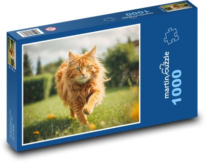 Hrdzavá mačka - Puzzle 1000 dielikov, rozmer 60x46 cm