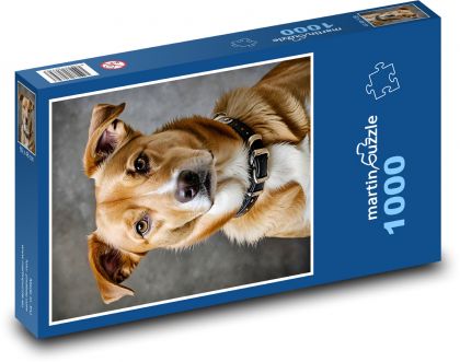 Pes - Puzzle 1000 dielikov, rozmer 60x46 cm