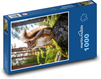 Eichhörnchen. - Puzzle - 1000 Teile
