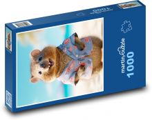 Veverka v košili Puzzle 1000 - 60x46 cm
