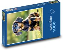 Pes - jazvečík Puzzle 1000 dielikov - 60 x 46 cm 