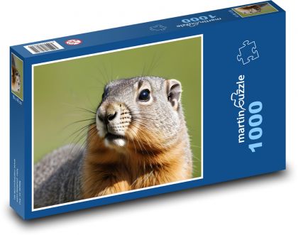 Svišť - puzzle 1000 dílků