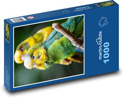 Andulky - Puzzle 1000 dielikov, rozmer 60x46 cm