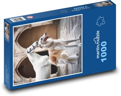Borzoi - pes - Puzzle 1000 dielikov, rozmer 60x46 cm
