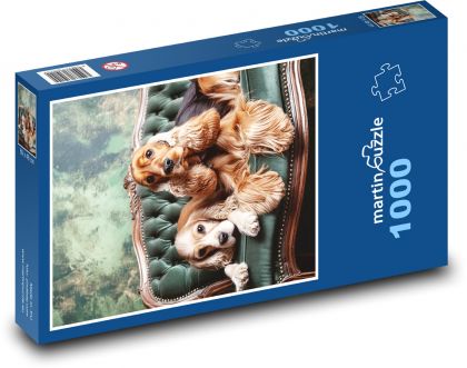 Kokršpaněl - pes - puzzle 1000 dílků