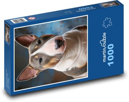 Bull teriér - pes - Puzzle 1000 dílků, rozměr 60x46 cm
