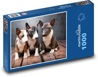 Štěňata - psi - Puzzle 1000 dílků, rozměr 60x46 cm