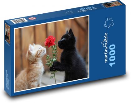 Roztomilé mačky - Puzzle 1000 dielikov, rozmer 60x46 cm