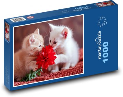 Niedliche Kätzchen - Puzzle - 1000 Teile
