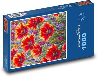 Poppies in bloom - Puzzle 1000 pieces, size 60x46 cm 