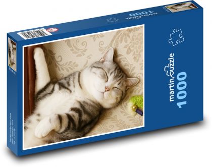 Spící kočka - Puzzle 1000 dílků, rozměr 60x46 cm
