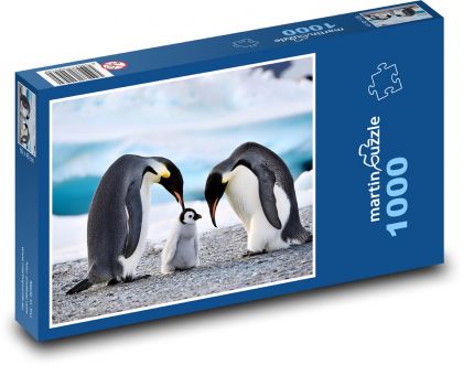 Pinguine - Familie - Puzzle - 1000 Teile
