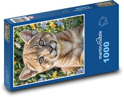 Cougar - Katze - Puzzle - 1000 Teile