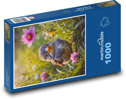 Ein Vogel im Frühling - Puzzle - 1000 Teile