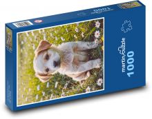 Pes - štěně Puzzle 1000 dílků - 60 x 46 cm