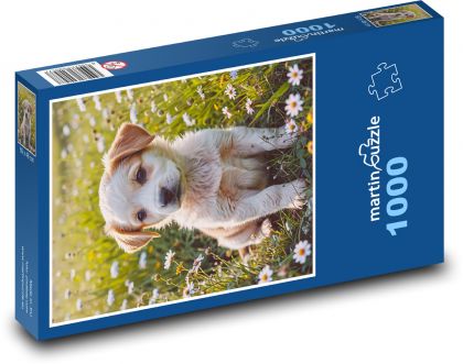 Pies - Szczeniak - Puzzle 1000 elementów, rozmiar 60x46 cm