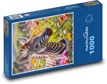 Zebra - Puzzle 1000 dielikov, rozmer 60x46 cm