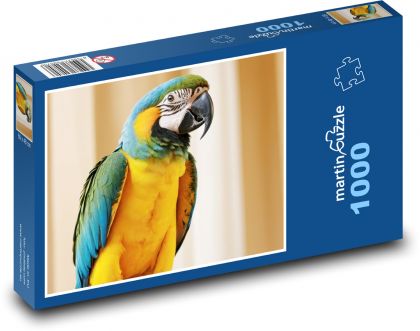 Papagáj - Puzzle 1000 dielikov, rozmer 60x46 cm