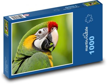Parrot - bird - Puzzle 1000 pieces, size 60x46 cm 