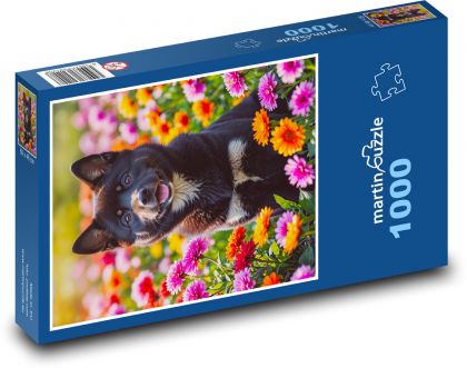 Pies - kwiaty wiosenne - Puzzle 1000 elementów, rozmiar 60x46 cm