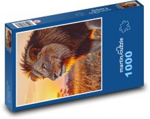Lion - sunset Puzzle 1000 pieces - 60 x 46 cm