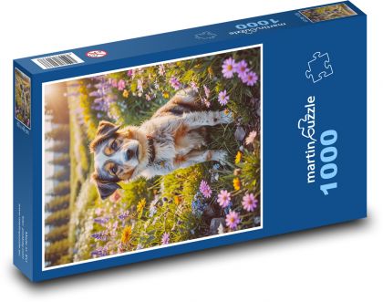 Pies na łące - Puzzle 1000 elementów, rozmiar 60x46 cm