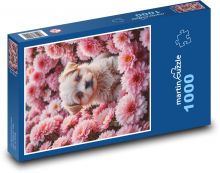 Pes na lúke Puzzle 1000 dielikov - 60 x 46 cm 