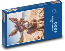 Osel v brýlích Puzzle 1000 dílků - 60 x 46 cm